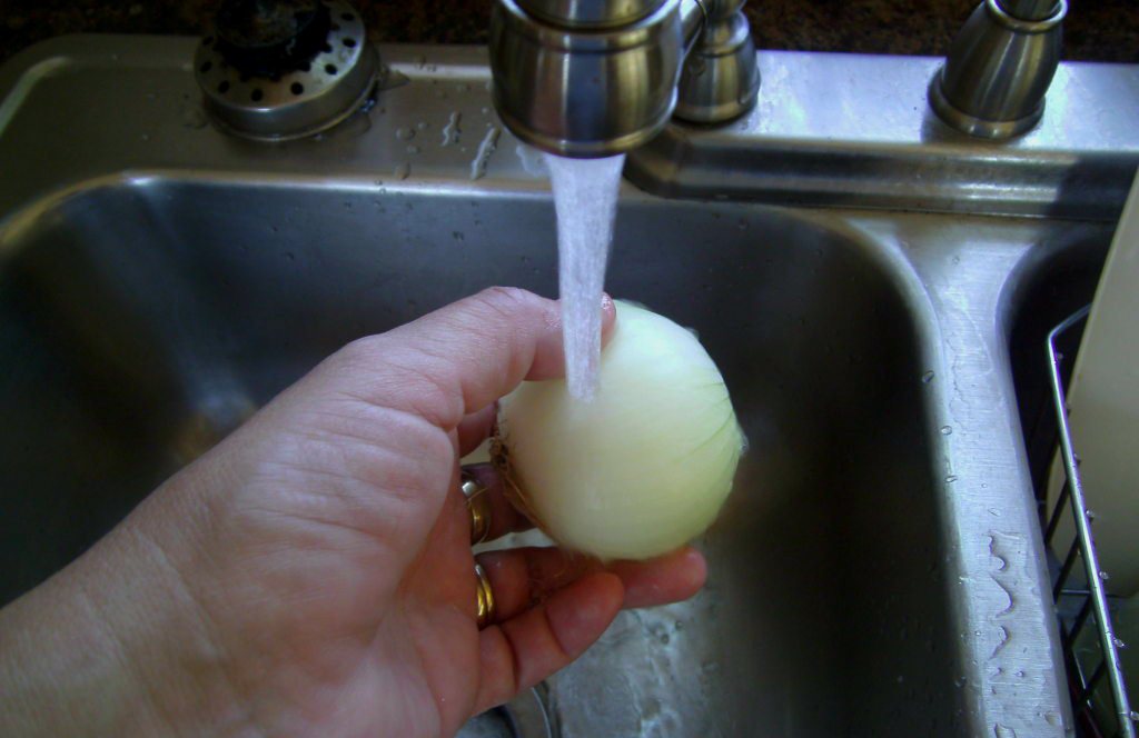 Onion under water