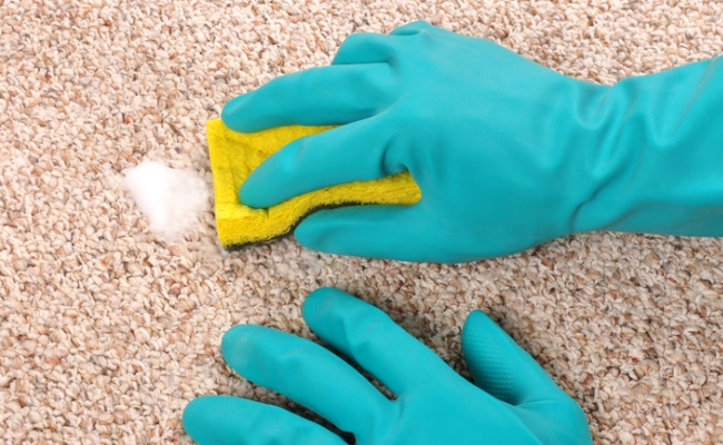 Clean your carpet