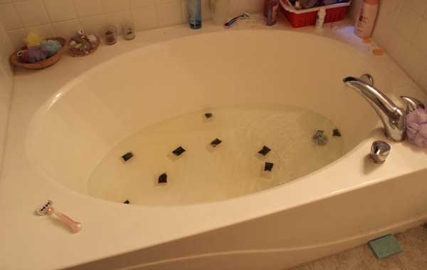 Anti-oxidant bath 
