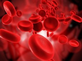 Types of Hemoglobin