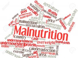 What is Malnutrition?