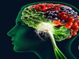 Useful foods to strengthen memory
