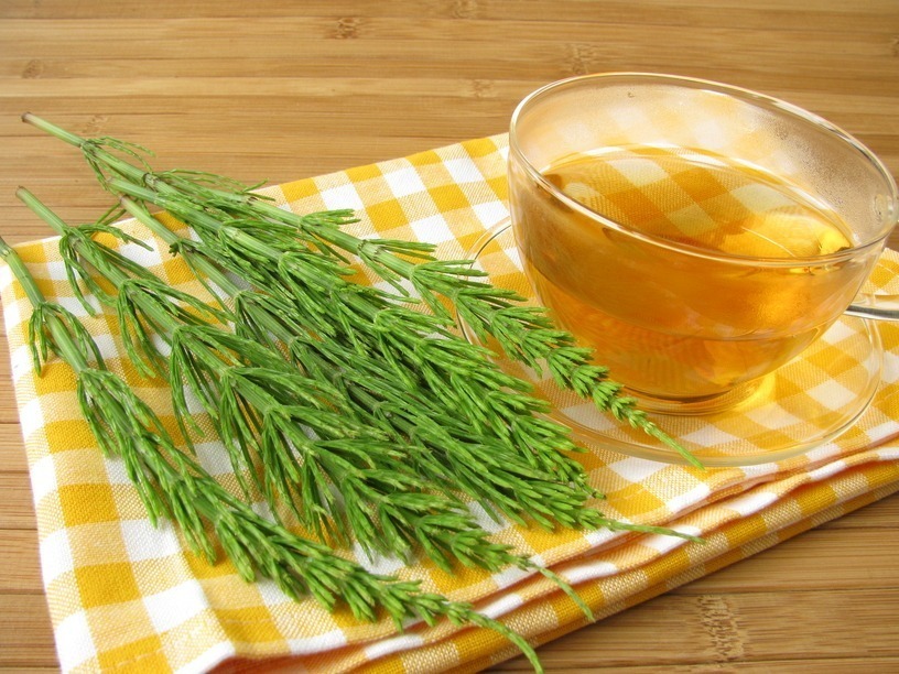 Benefits of Rosemary for the Paunch