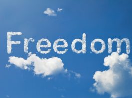 the importance of freedom