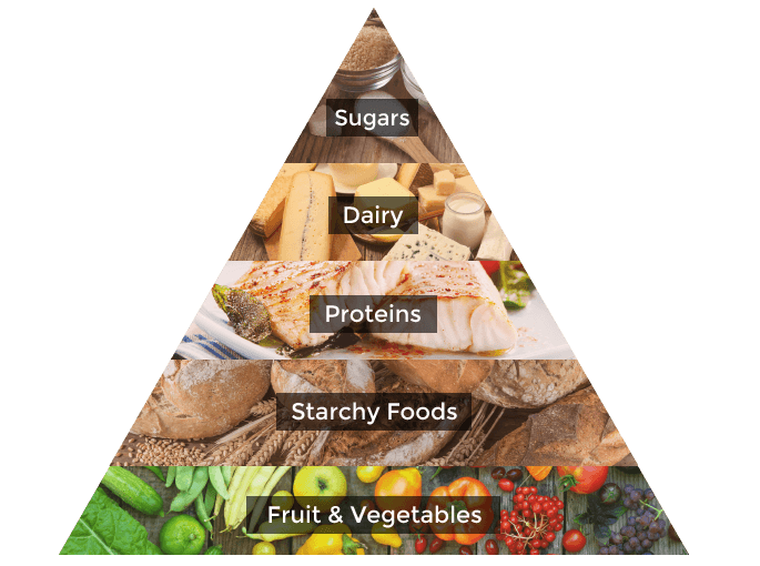What is the food pyramid?
