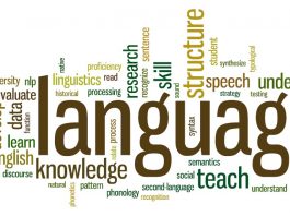 The importance of language in our lives