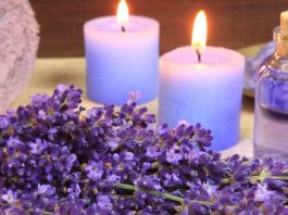 Benefits of Lavender Oil