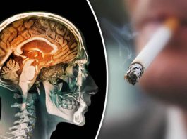 The effect of smoking on brain functions
